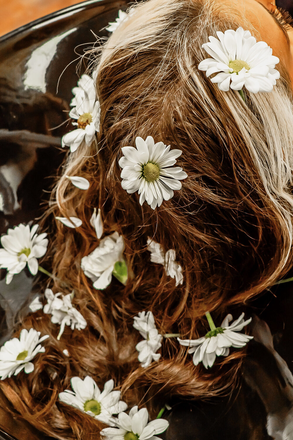Fresh daisies set into a finished color by The Shasta Edit